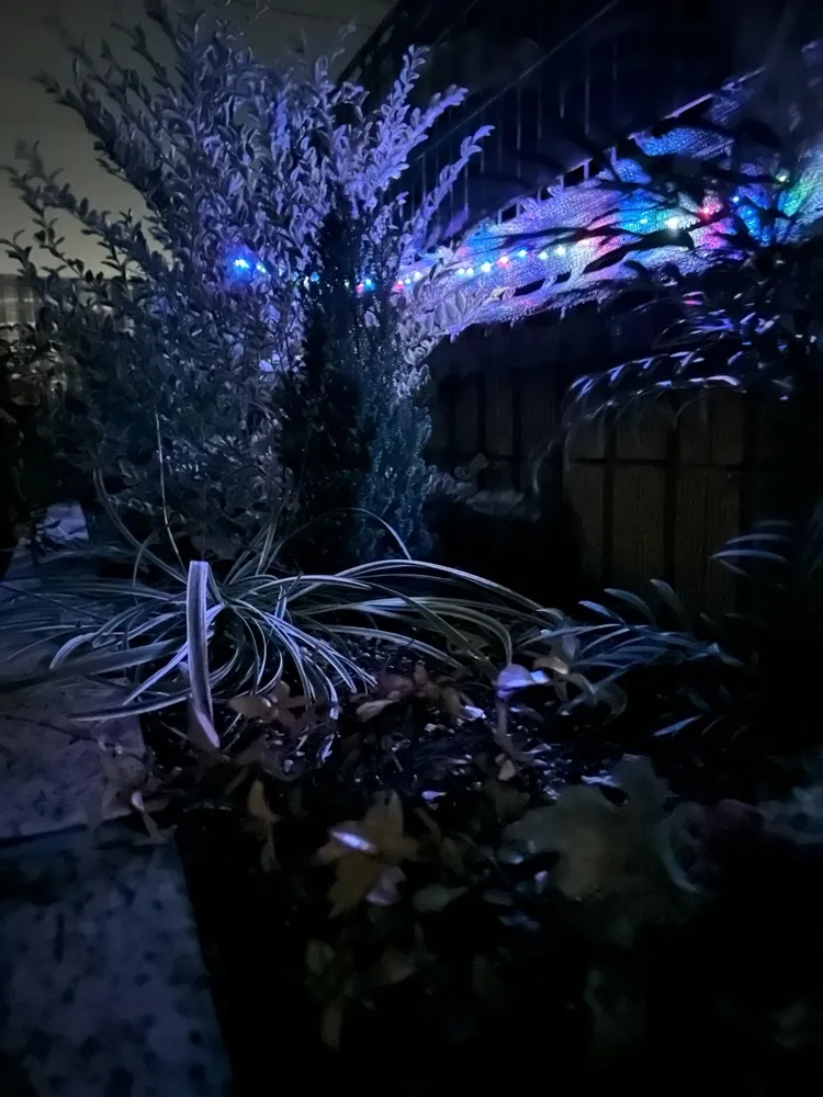 ガーデニング 趣味 男