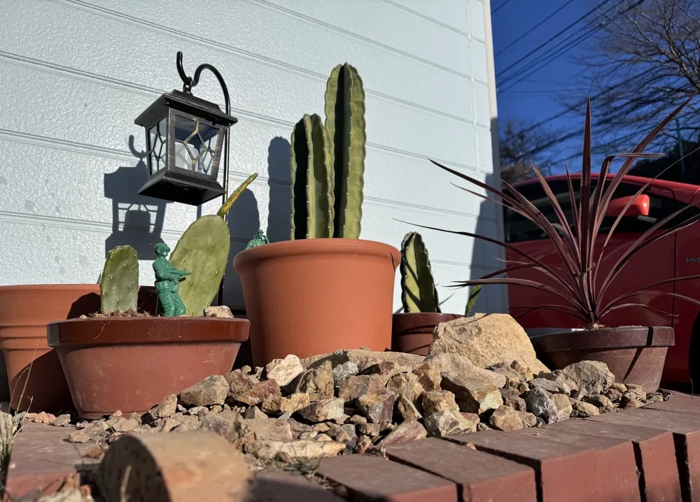 ガーデニング 趣味 男